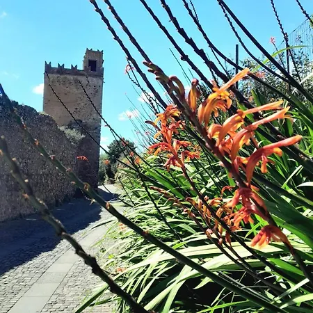 L'isola Delle Torri * Iglesias